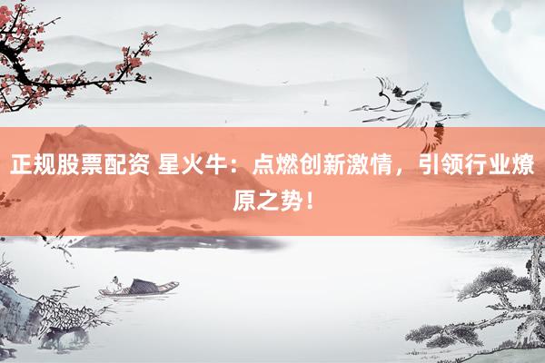 正规股票配资 星火牛：点燃创新激情，引领行业燎原之势！