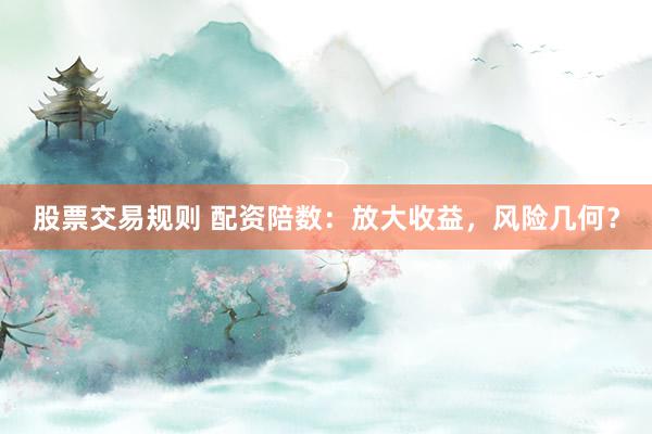 股票交易规则 配资陪数：放大收益，风险几何？