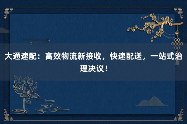 大通速配：高效物流新接收，快速配送，一站式治理决议！