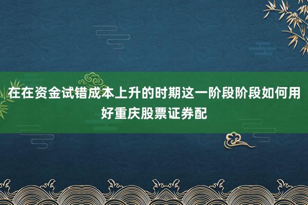 在在资金试错成本上升的时期这一阶段阶段如何用好重庆股票证券配
