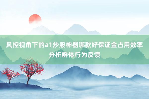 风控视角下的a1炒股神器哪款好保证金占用效率分析群体行为反馈