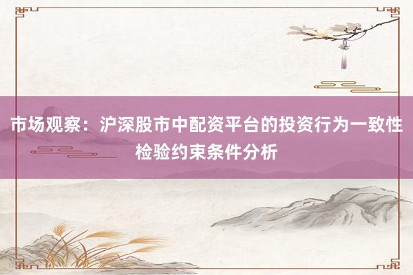 市场观察：沪深股市中配资平台的投资行为一致性检验约束条件分析