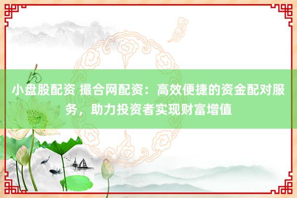 小盘股配资 撮合网配资：高效便捷的资金配对服务，助力投资者实现财富增值