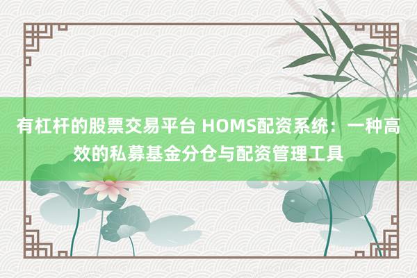 有杠杆的股票交易平台 HOMS配资系统：一种高效的私募基金分仓与配资管理工具